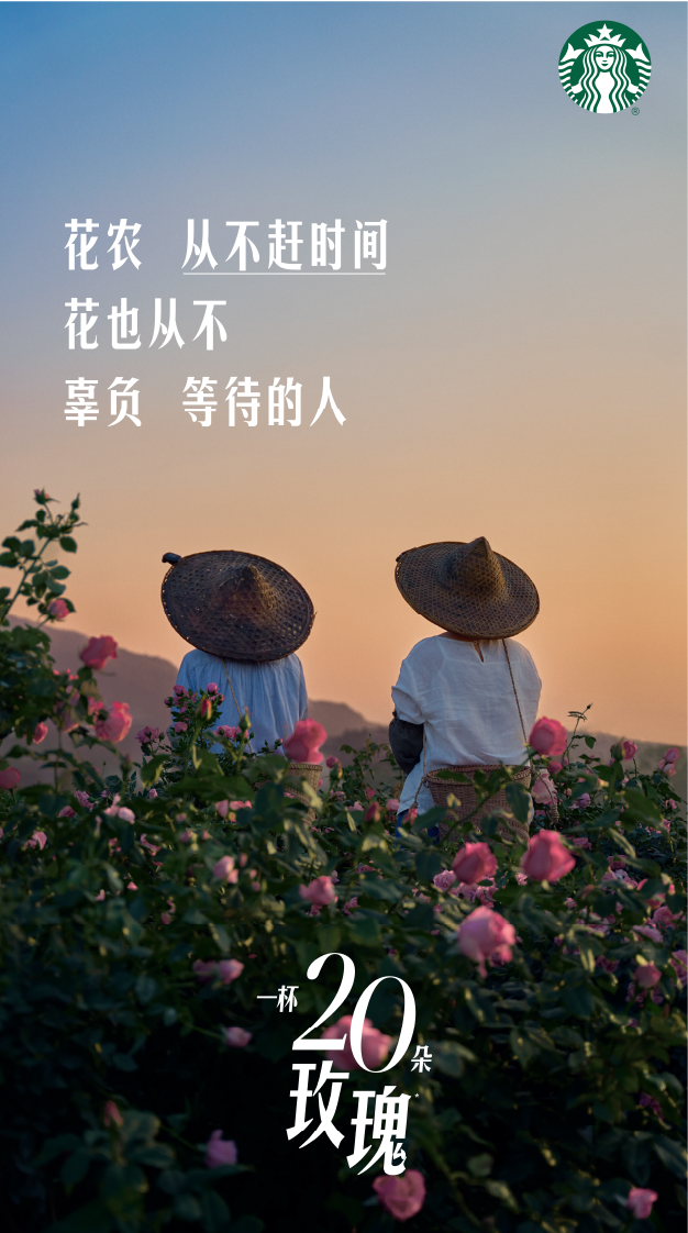星巴克玫瑰20回归：花农影像与主题门店 · 图片 8