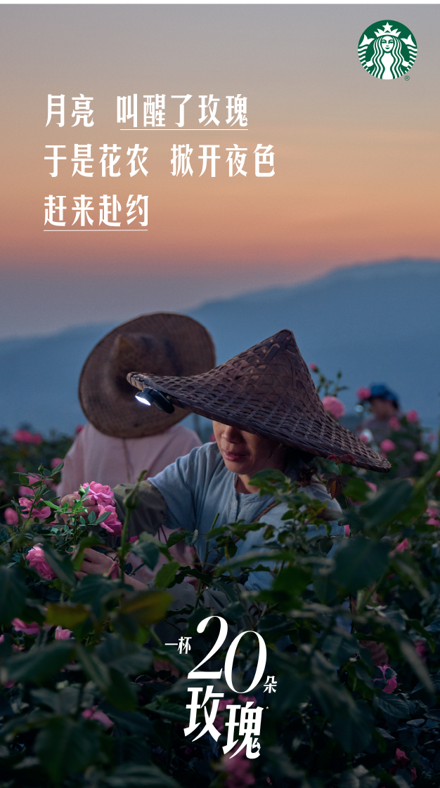 星巴克玫瑰20回归：花农影像与主题门店 · 图片 5
