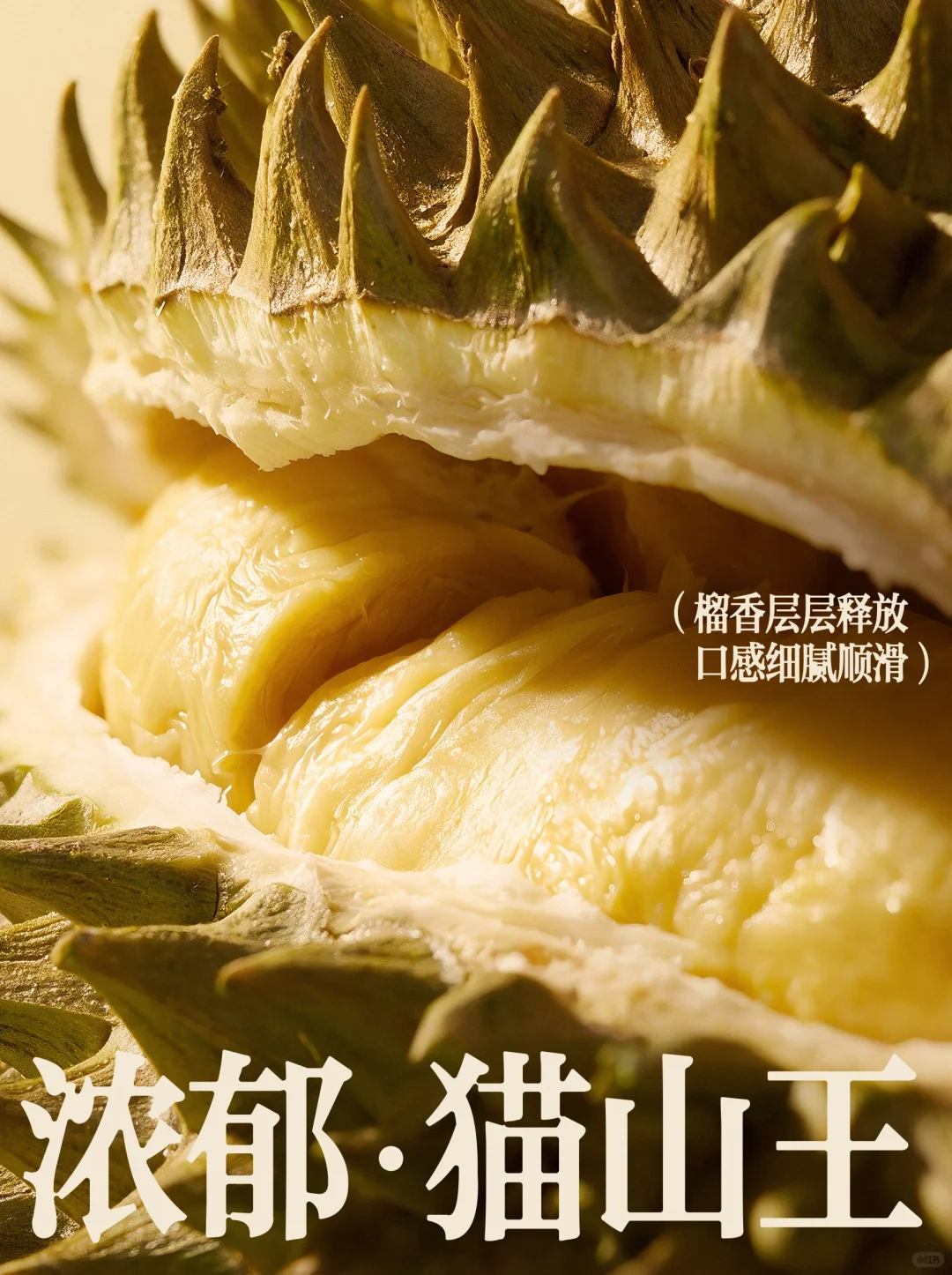 星巴克新晋顶「榴」来了❗榴莲脑袋集合