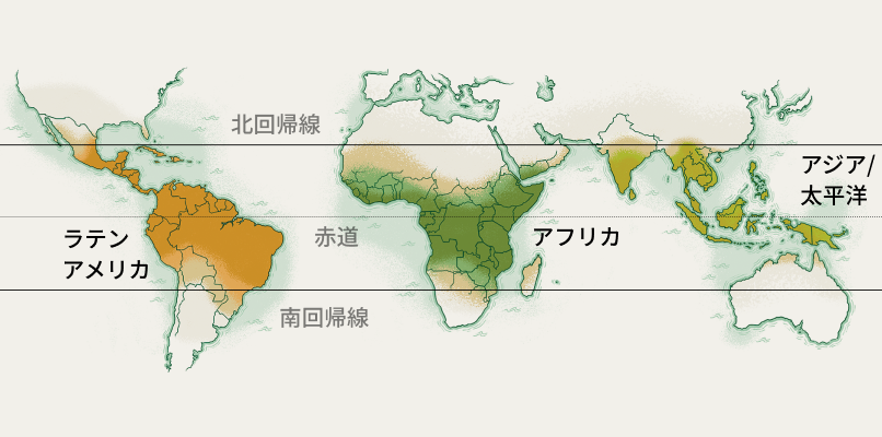 找到自己的那杯咖啡：从烘焙、产地到风味地图 · 官网配图 3