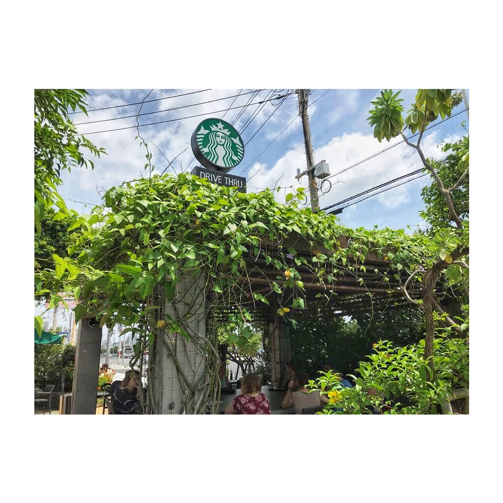 冲绳北谷：风狮爷与伙伴种下的月桃