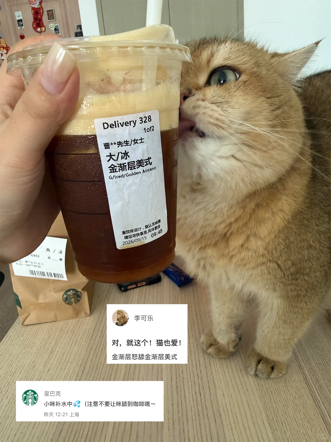 👈左滑沉浸式吸猫…咖