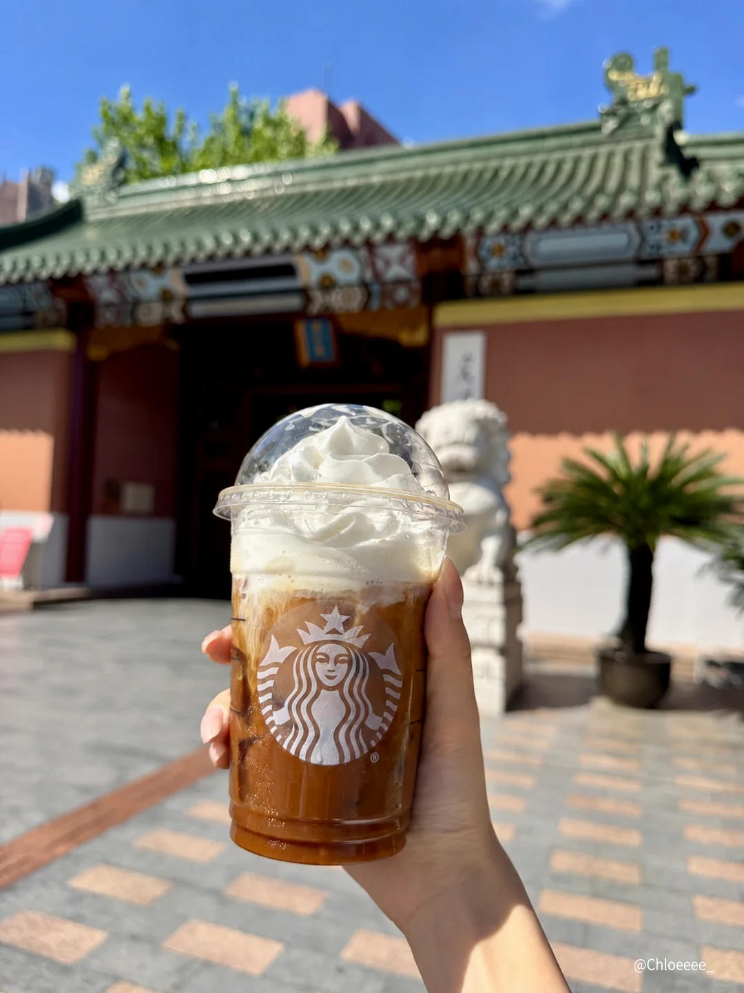 如果把你的大学调成一杯星巴克☕️