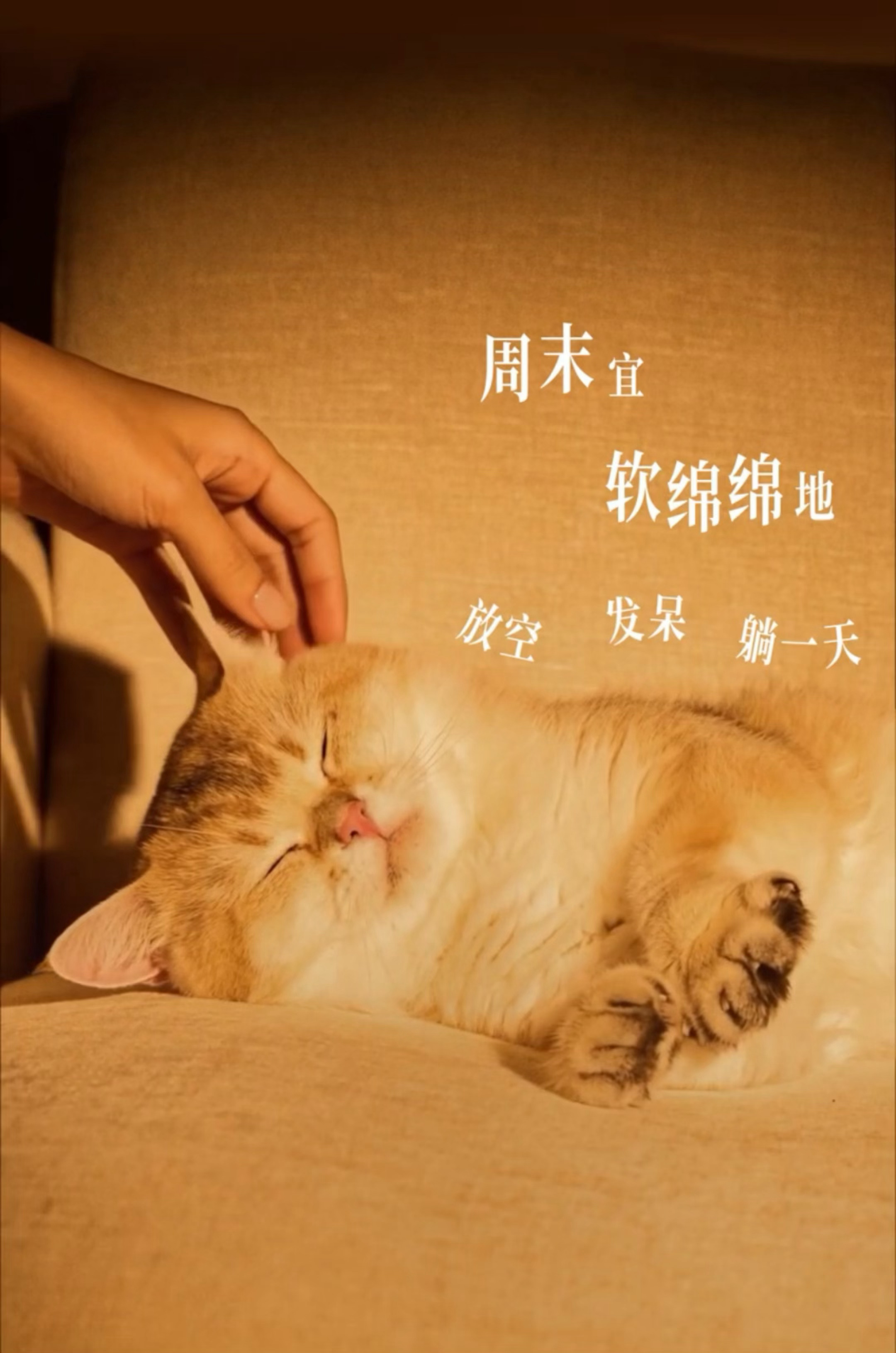 金渐层美式：轻柔泡沫与金色渐层