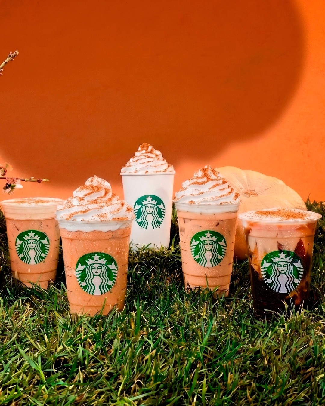 智利南瓜季：五种 Pumpkin Spice 喝法