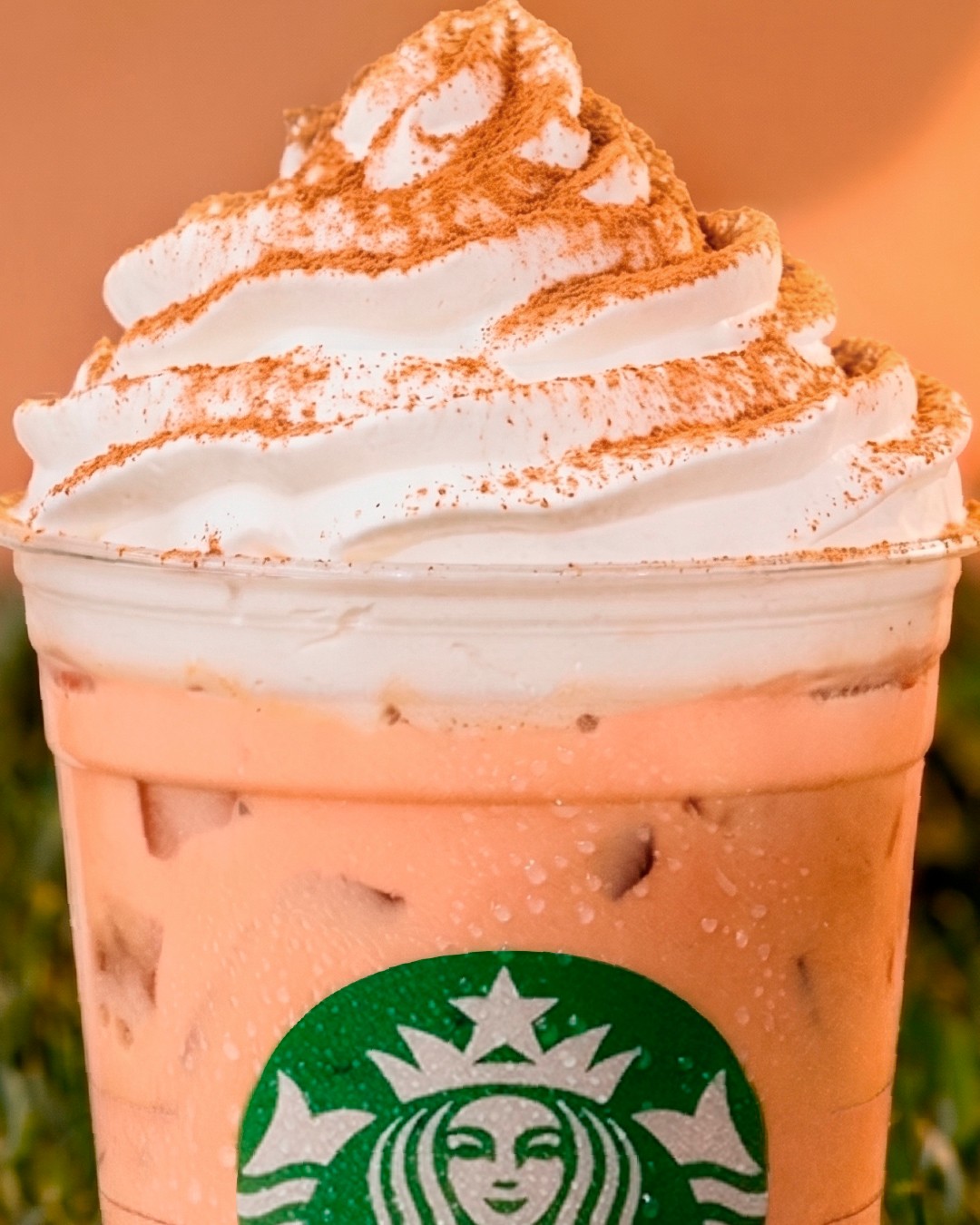 智利南瓜季：五种 Pumpkin Spice 喝法