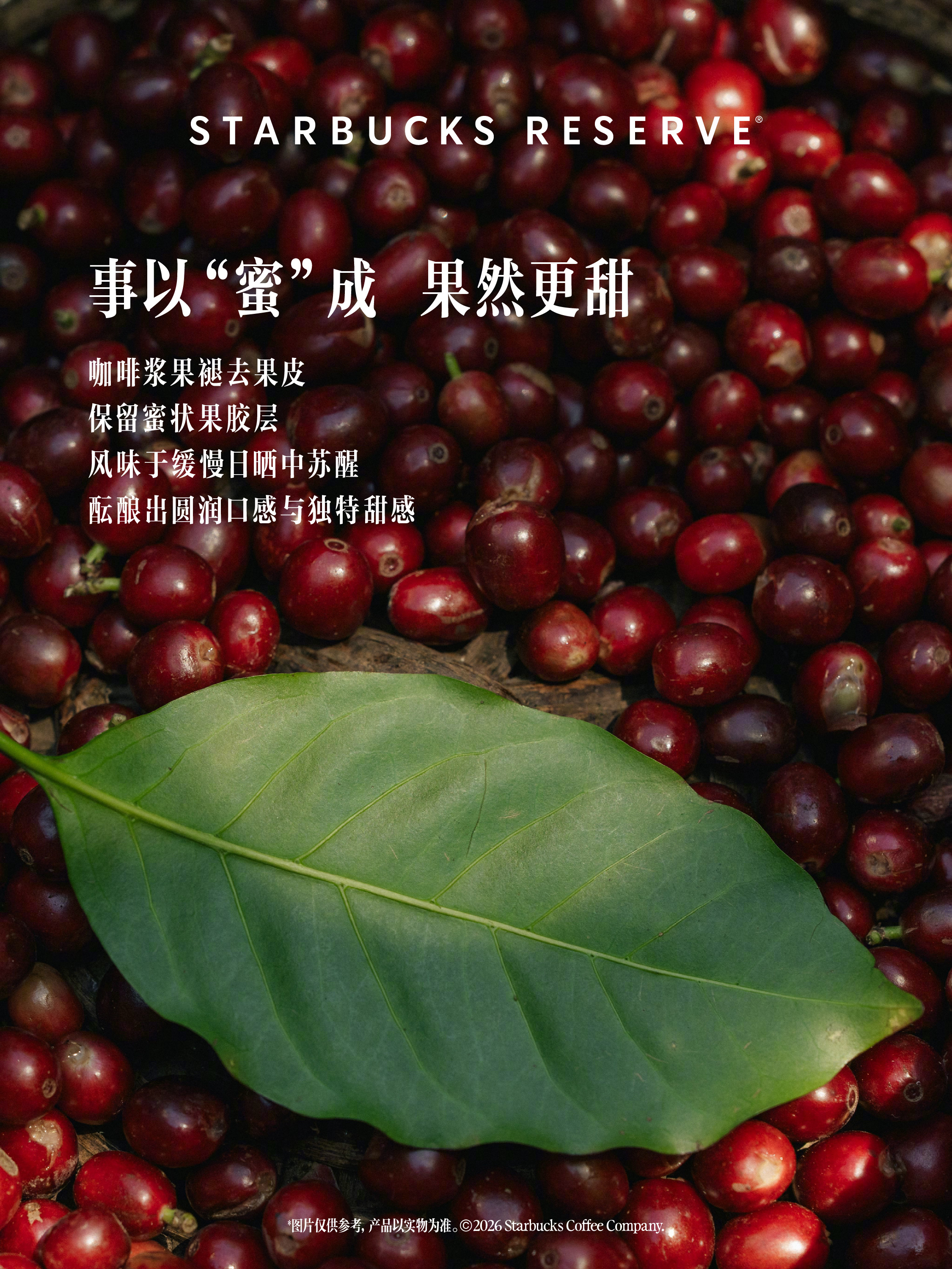 哥斯达黎加蒂卡琳达蜜处理咖啡，9月9日起陆续上市，第3张