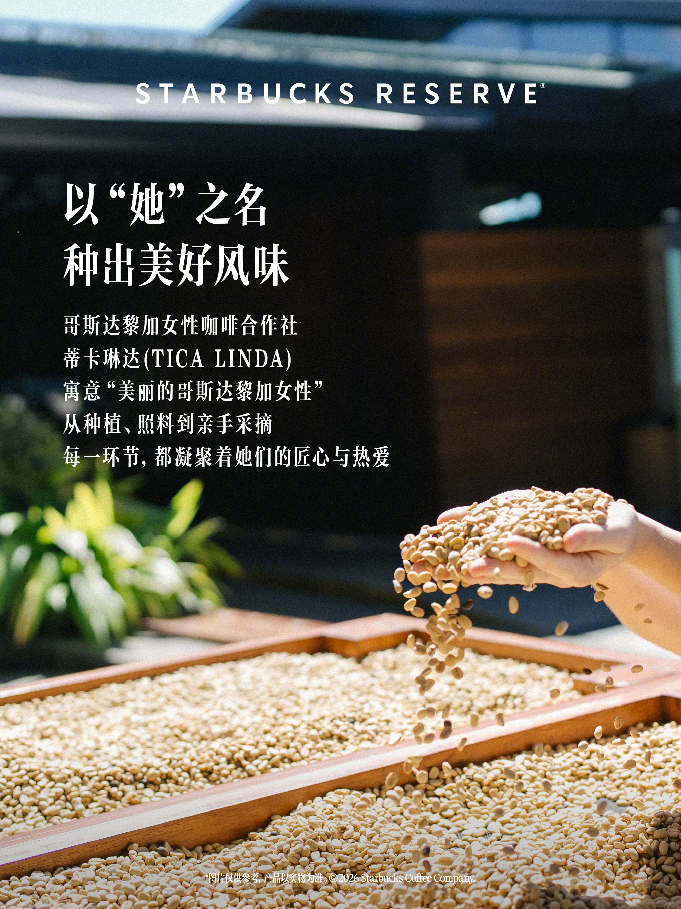 哥斯达黎加蒂卡琳达蜜处理咖啡，9月9日起陆续上市，第4张